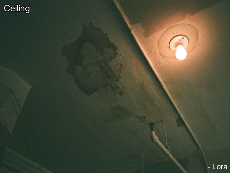 Damaged ceiling