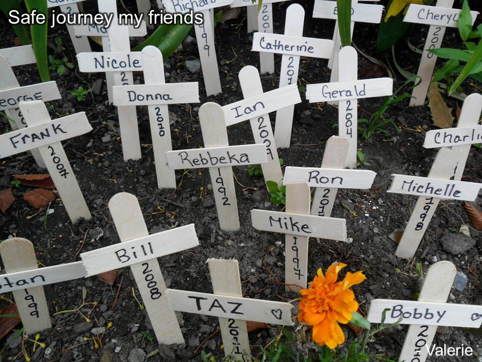 Small crosses with names and dates