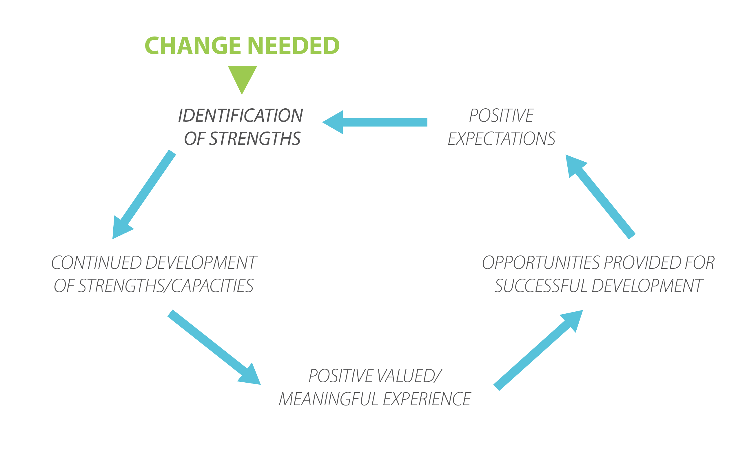 The strengths-based cycle