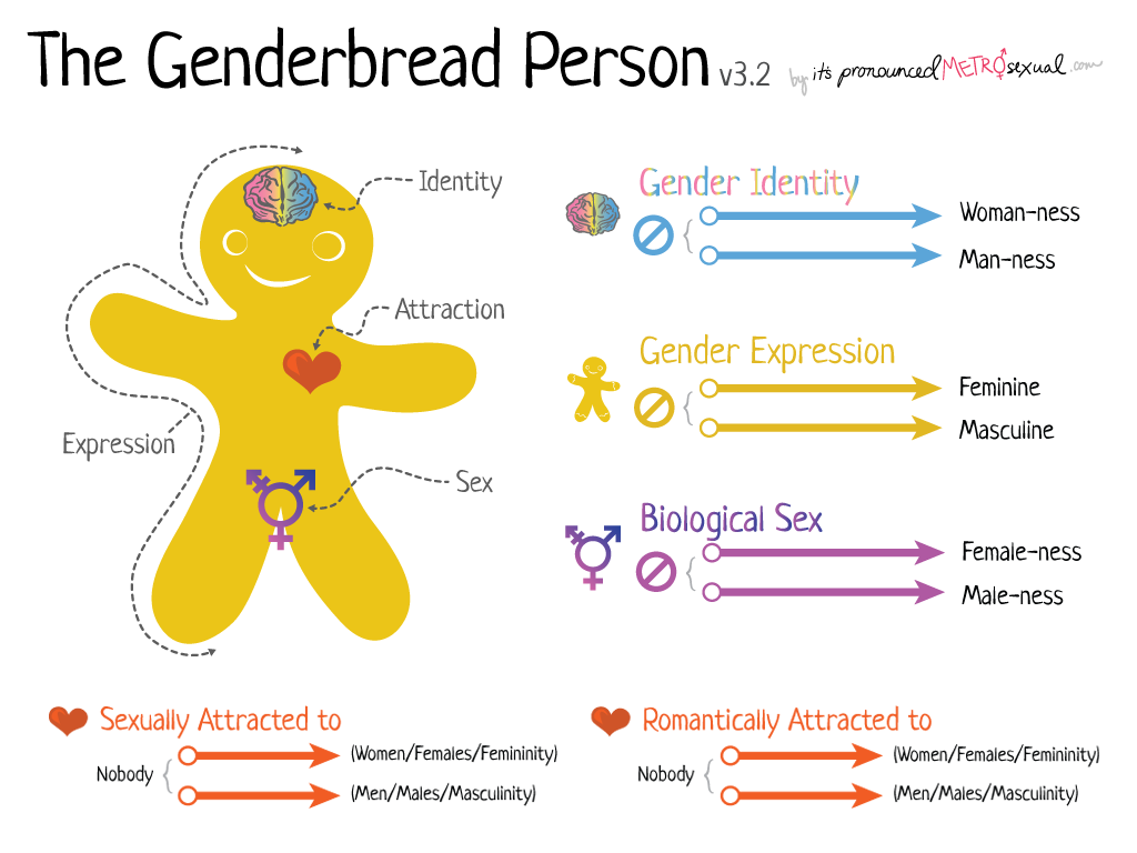 The Genderbread Person