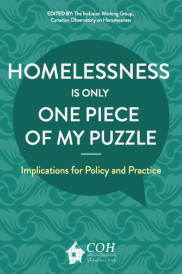 Homelessness in only one piece of my puzzle book