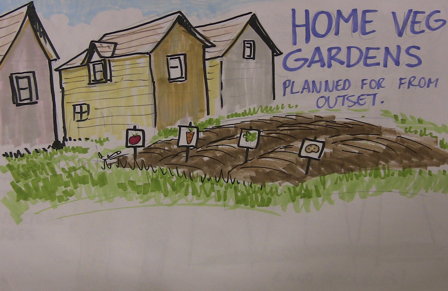 Home vegetable gardens