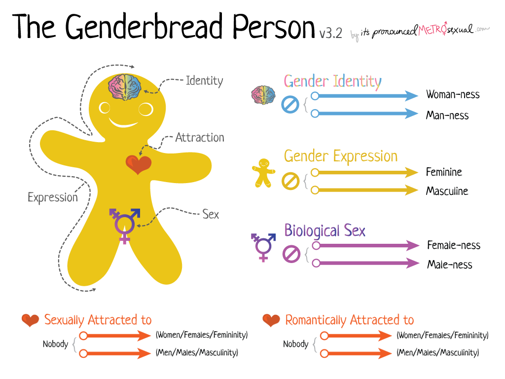 What Considerations Should Be Given When Looking At Sexual And Gender ...