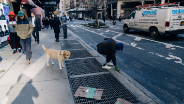 What Can Be Done to Better Support People Experiencing Homelessness with Pets?